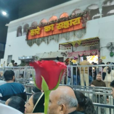 king_of_all king_of_all