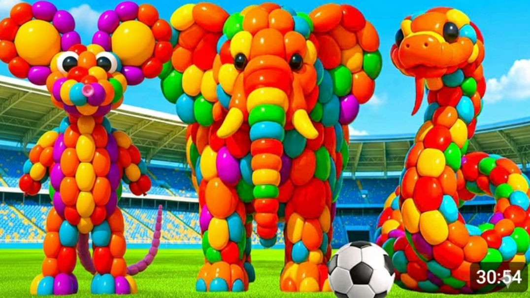 ⁣The_mascot_vibrato_assistant_dog_placed_on_the_football_field_is_popular,_co-produced_and_creative_2