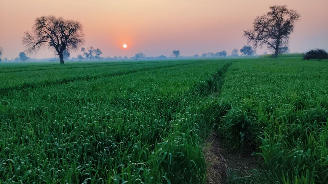 ⁣Mini vlogs Dye _17 follow and support karo 🙏⚡pura dako 😂👀(MP4)