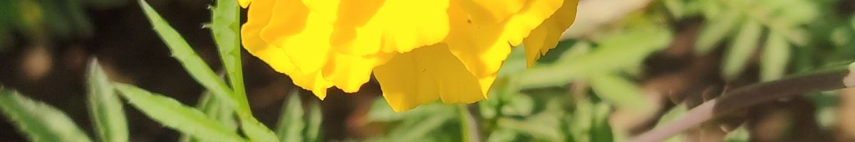 9c12849e5