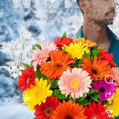 101467644587863728880 