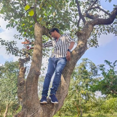 114587426352742783176 