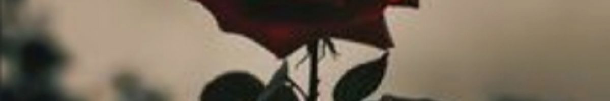 100644128970655958073 