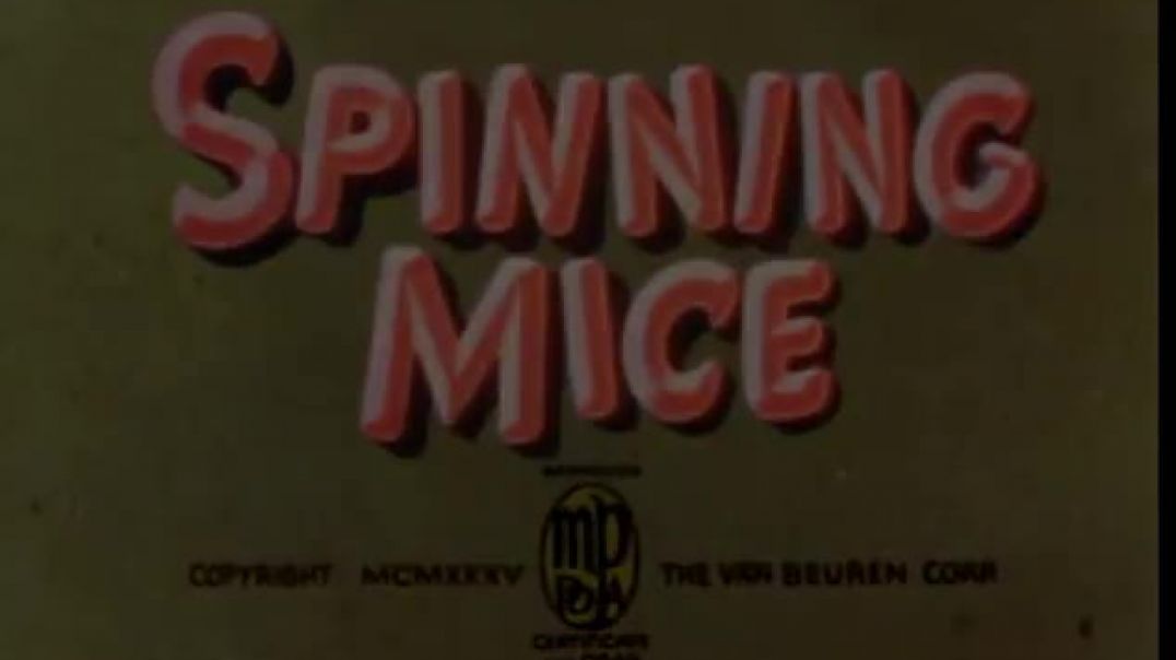 ⁣Spinning Mice (Van Beuren 1935)(480P)
