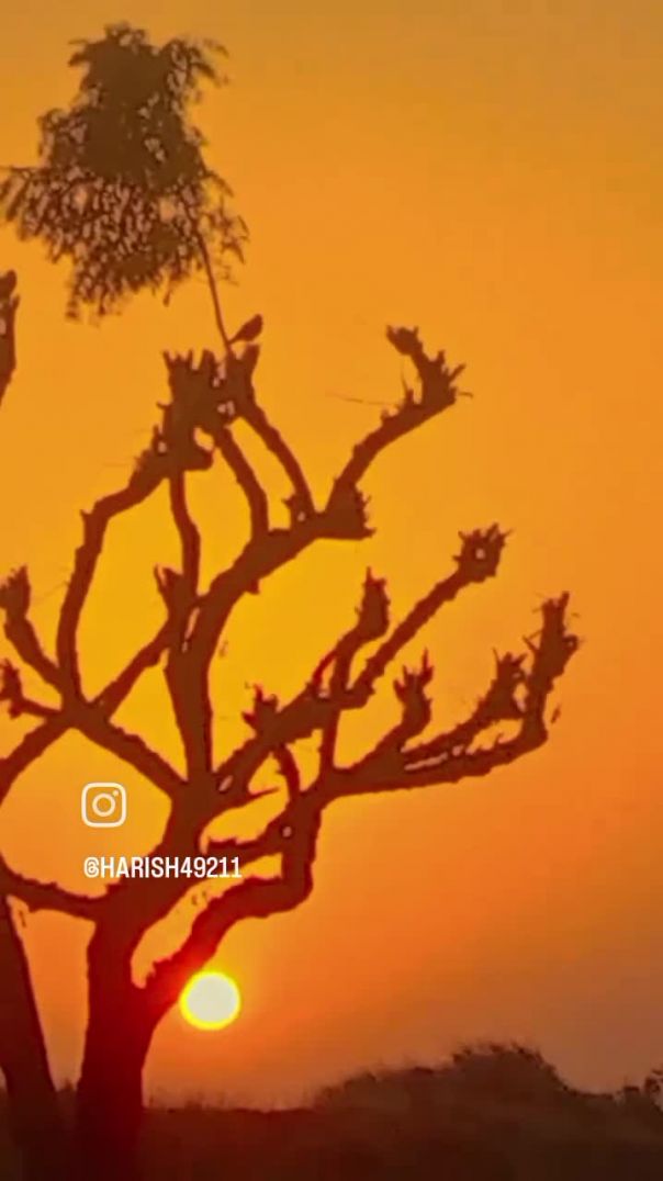 VID_20260210_011415_827