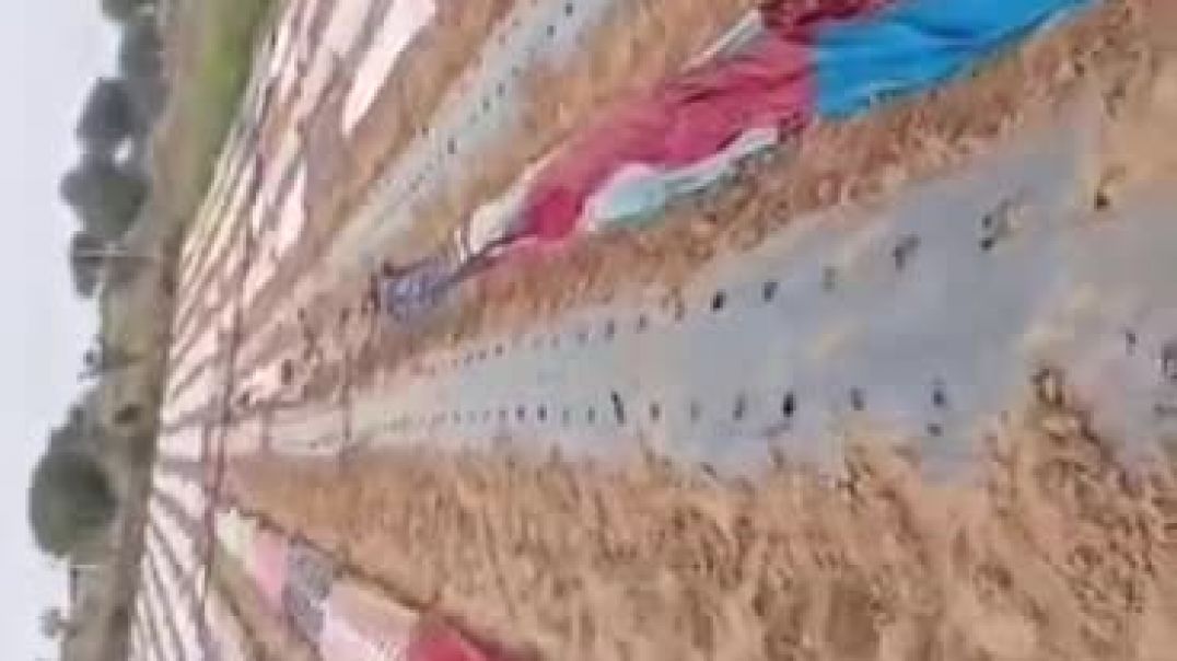 ⁣VID-20260212-WA0009