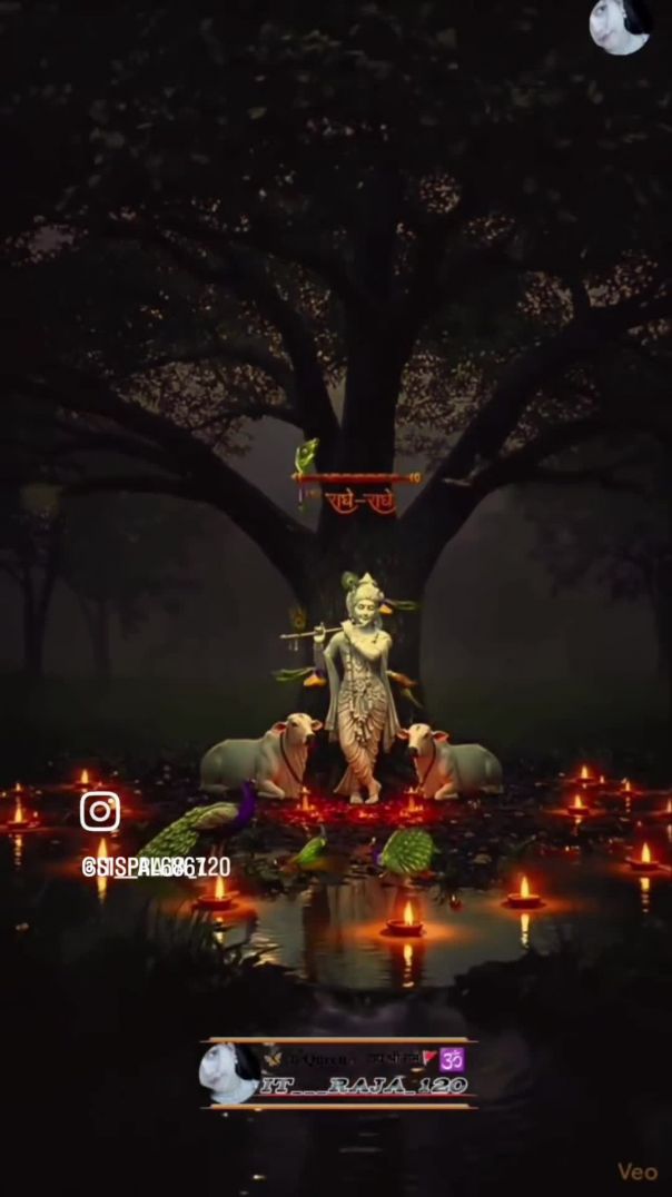 VID_20260205_023844_030