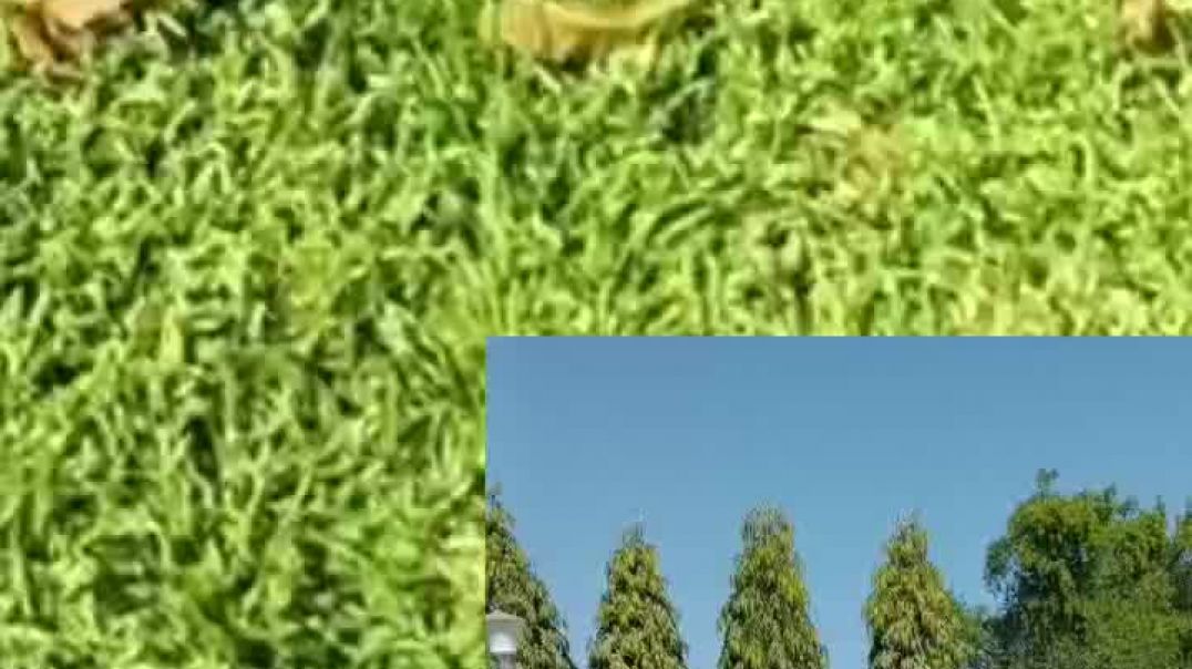 ⁣Hamara vatavaran yah Rajasthan mein kahan per hai