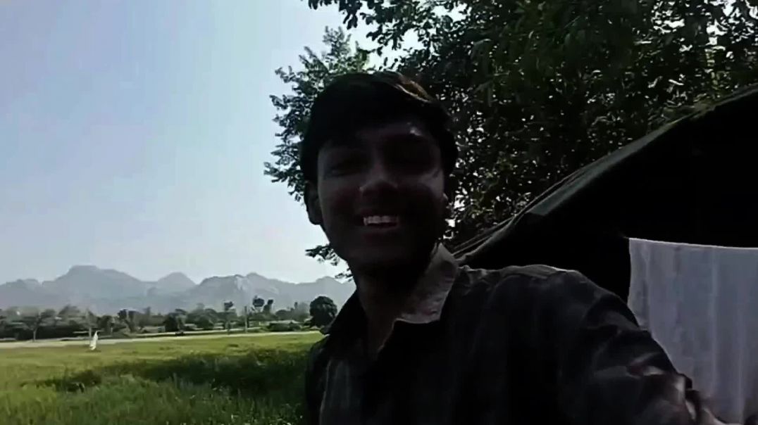 ⁣Living 24 hours in treee