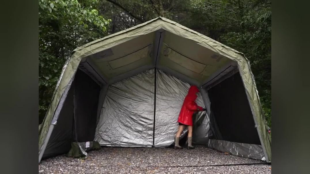 जंगल में घर