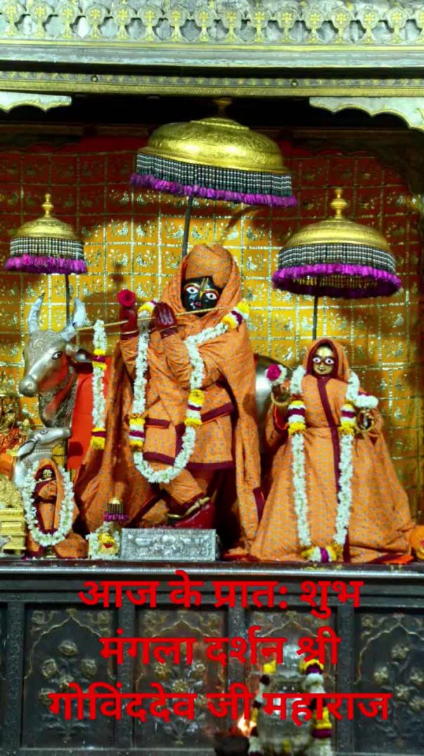 आज के प्रात_ शुभ मंगला दर्शन श्री #गोविंददेव जी महाराज जयपुर #govinddevji #love #radheradhe #shyam