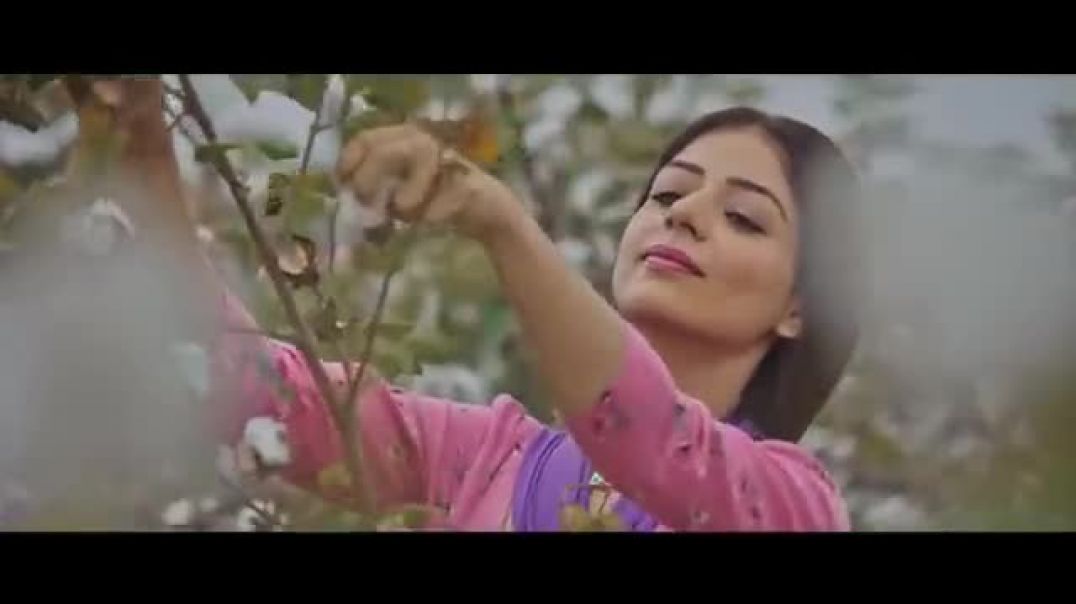 ⁣Guzara__HD_Video____B_Praak___Jaani___Ammy_Virk___Tania___Latest_Punjabi_Songs_2025(360p)
