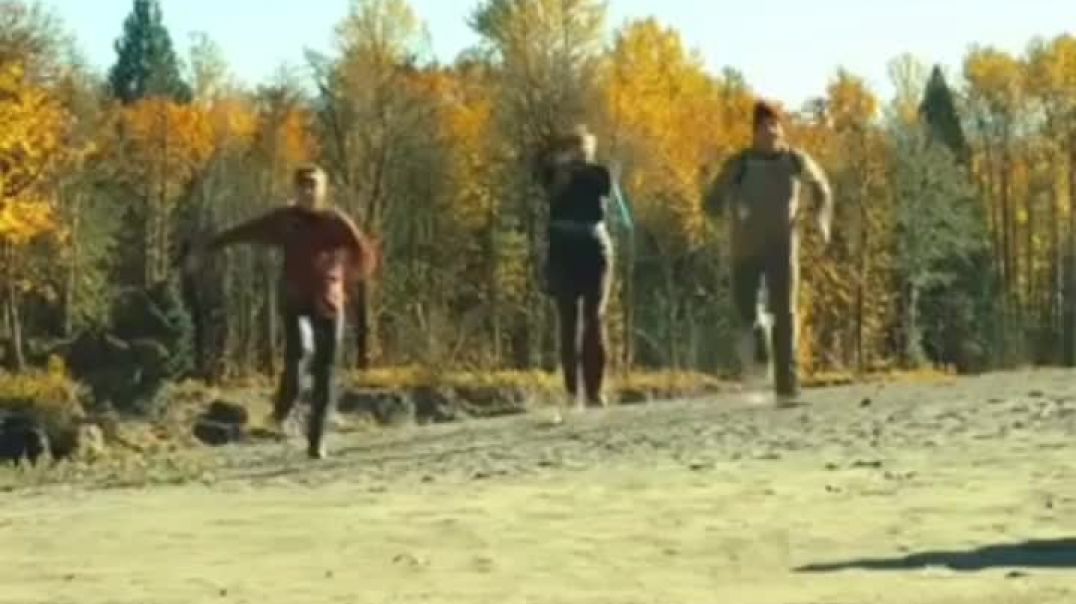 पालतू_कुत्ते_ने_जंगली_बिल्ली_के_बच्चे_को_पाला