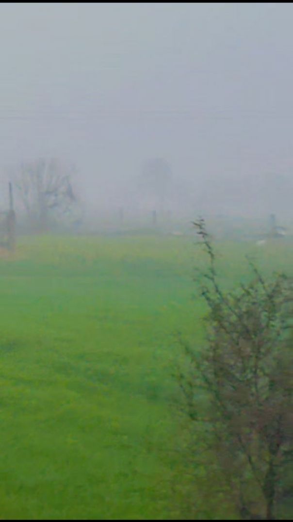 Bagdo dessi jaat 🩷