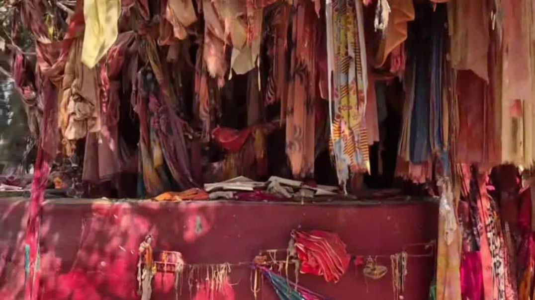 VID_20260203_004205_491