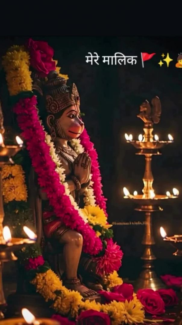 manju_barmer_39-20260206-0001