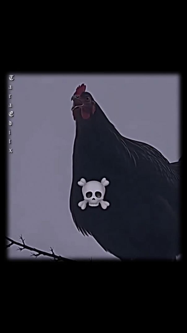 Story_promotion_available_💸__👉_@tara_editx___#skull_#viral_#trending_#edit_#reels