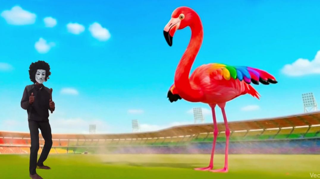 The_mascot_vibrato_assistant_cat_placed_on_the_football_field_is_popular_co-produced_and_creative_#[