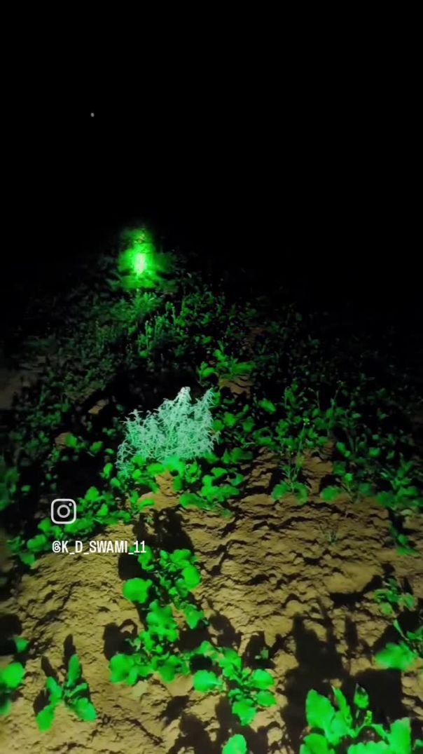 VID_20251220_184307_740