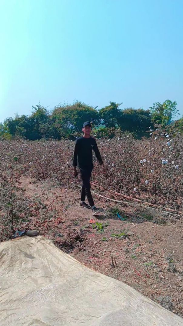 VID_20260112_221047_228