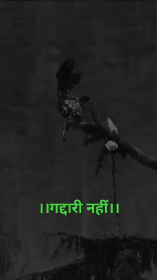 #attitude_#shayari_#gaddari_#nhi_#1000subscribers_saport_karo_#1000k(360p)