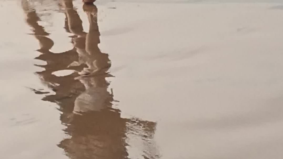 ⁣ODISHA SAMUNDAR 🎊👍👍#apnatube#travling​#comedy