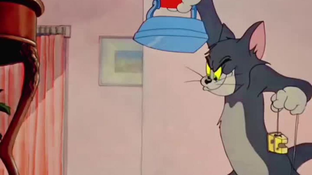 ⁣Tani and jurry you have