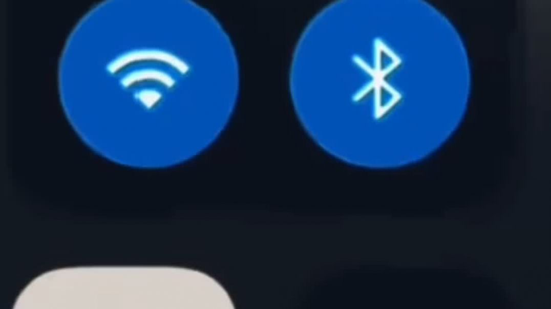 vidma_20260227_092501