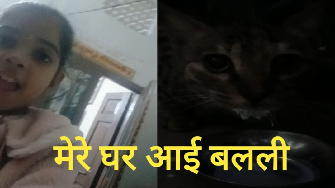 ⁣मेरे घर आई बलली Mere Ghar I Billi