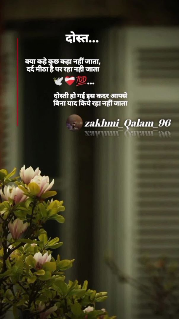 VID_20260221_045116_387_bsl