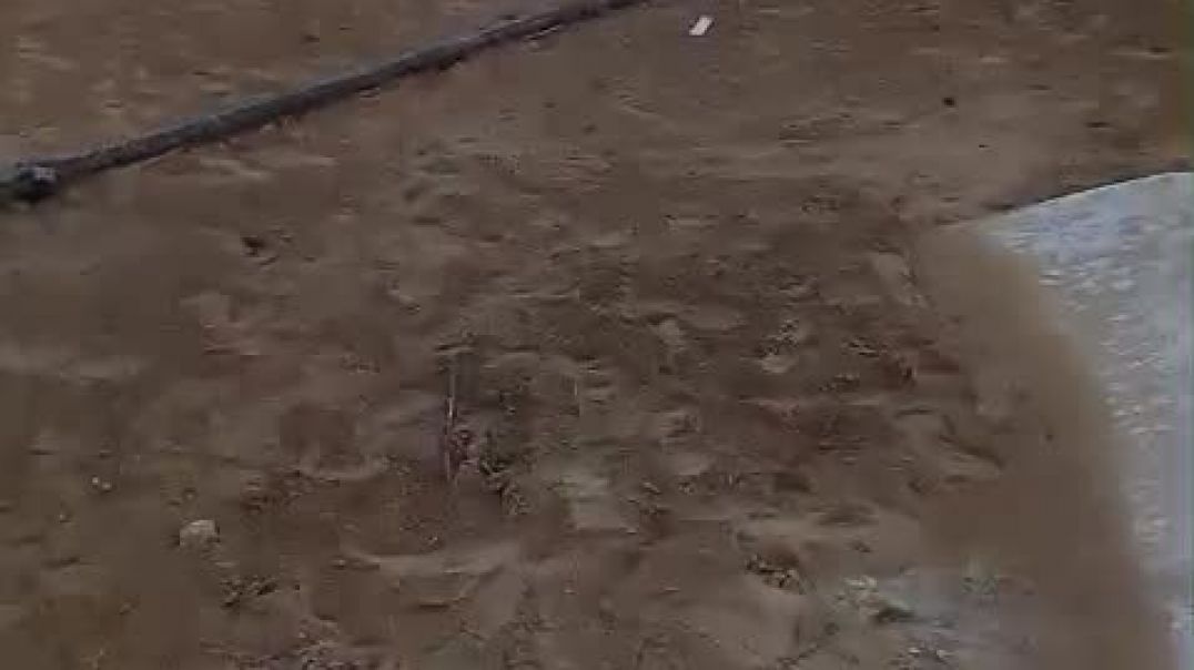 ⁣VID-20260207-WA0000