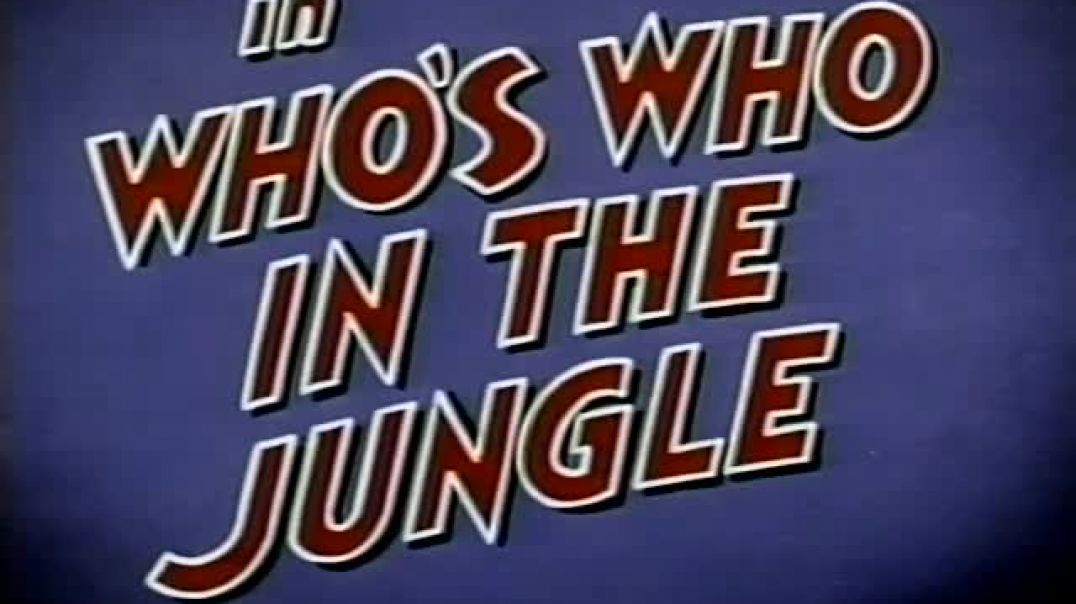 ⁣WHO_S WHO IN THE JUNGLE(480P)