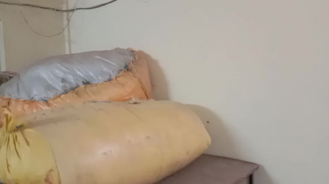 video_20260215_182303