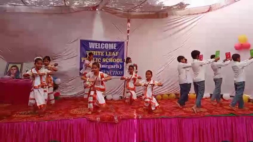 ⁣VID-20260223-WA0003