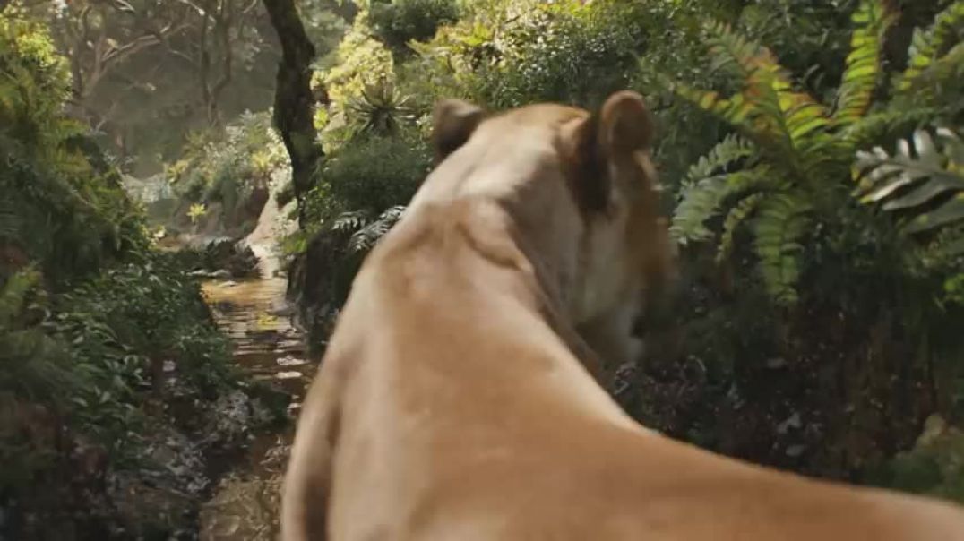 ⁣Mufasa_ The Lion King (2026) Explained in Hindi _ Full Movie Explanation [4K](480P)