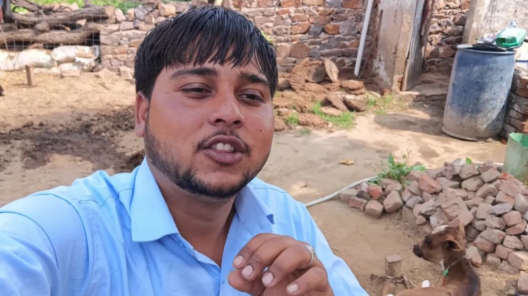 ⁣My New Blog Bharatpur Ke Chore Ki