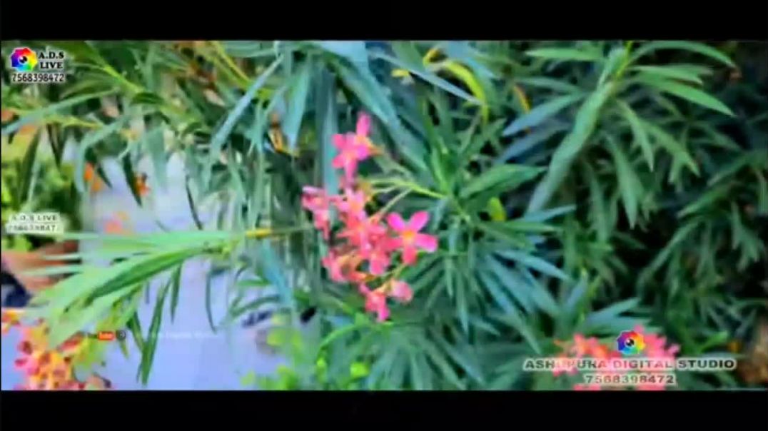 ⁣श्री श्याम songh