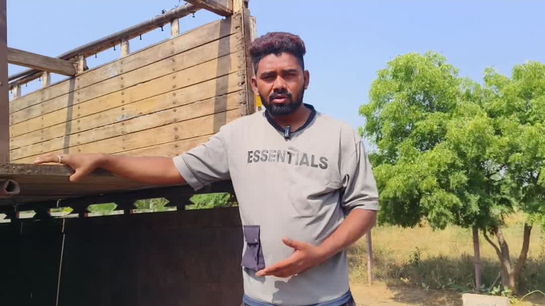 ⁣250 कटिंग के बकरे! Wholesale dealer#goatfarming #goatfarm #goats #bakripalan #bakrifarm