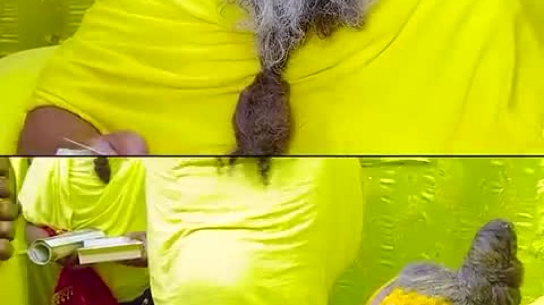 ⁣CELIBACY_WHEN,_WHY___HOW__#premanandjimaharaj_#bhajanmarg(480p)