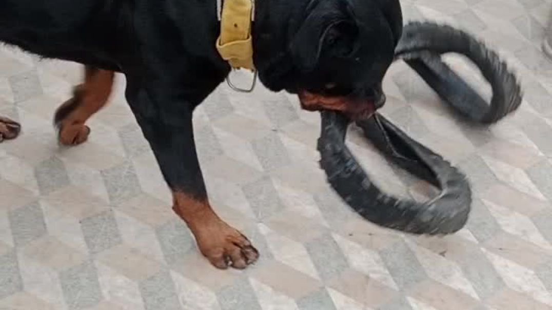 ⁣Billu ki Masti ka time