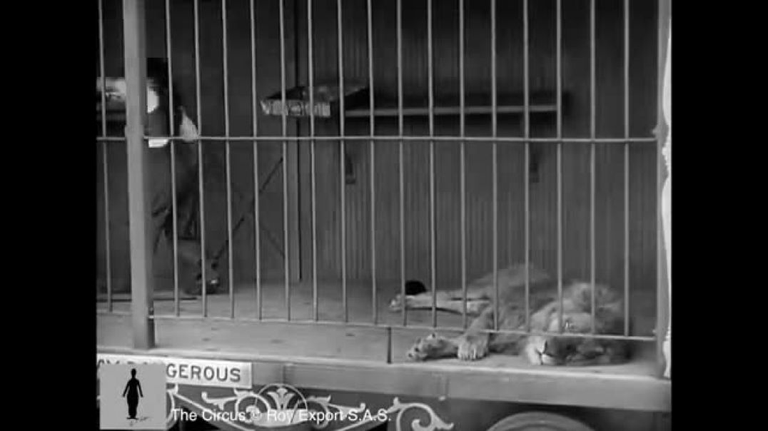 ⁣Charlie Chaplin - The Lion Cage - Full Scene (The Circus, 1928)