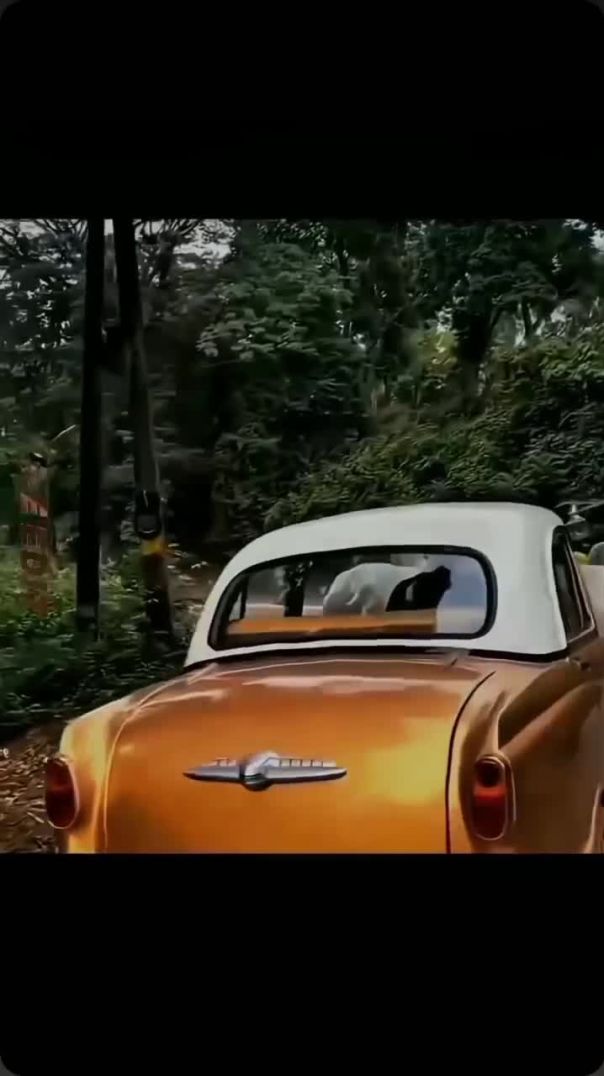 Defent aura 9999😵😵