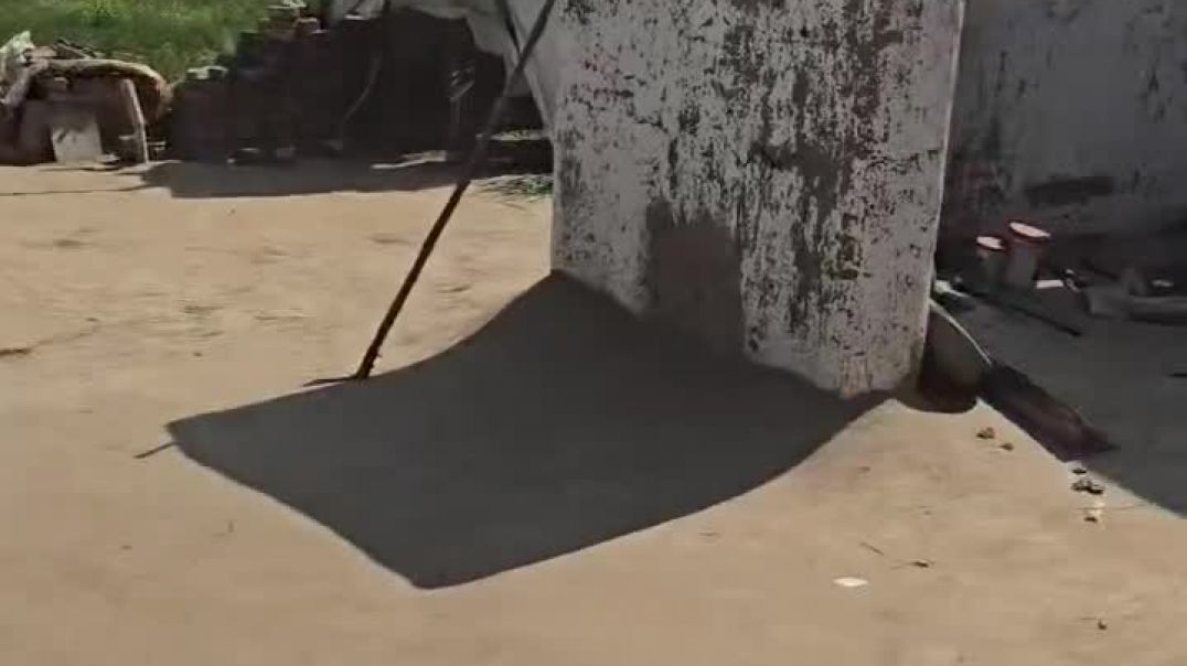 snapsave-app_1913589332696365_hd