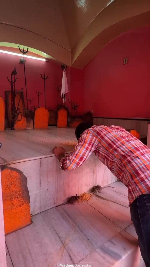 VID_20260119_211805_989