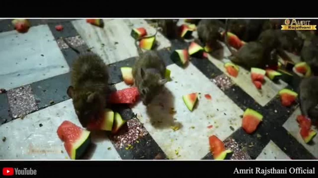 ⁣Karni Mata ka song