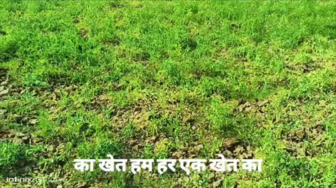 ⁣गाँव का पुल 2012 से जर्जर स्थिति में है और 2026 आते-आते भी यह समस्या सुधरने का नाम नहीं ले रही है। इ