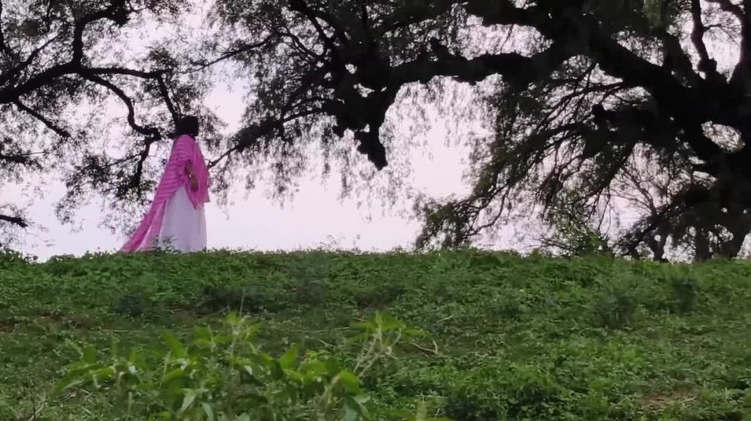 ⁣ये जो सिली सिली आनंदी है हवा सुपर हिट गाना _ _ Sili Sili aandi hai hawa। _Singernase(720P