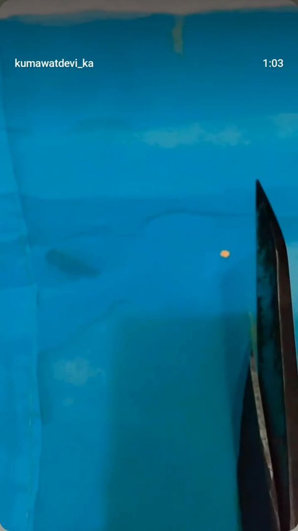 VN20260118_195522