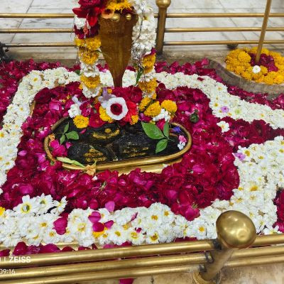 114268435538575640450 