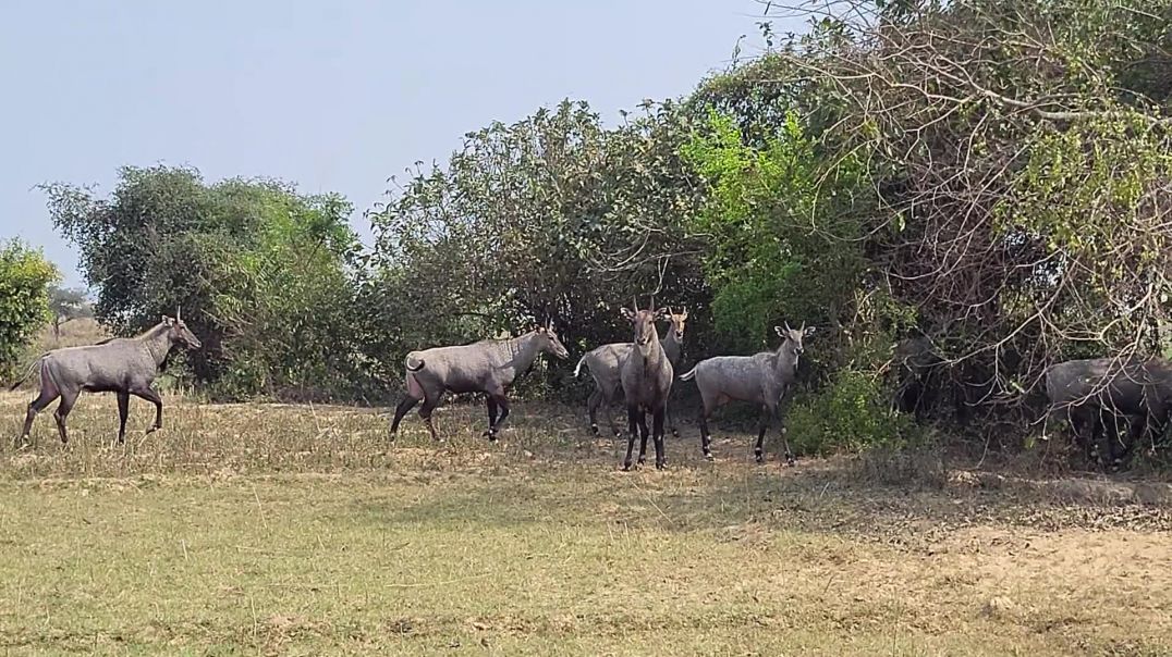 ⁣Blog 2 Going to outer form river into jungle Area